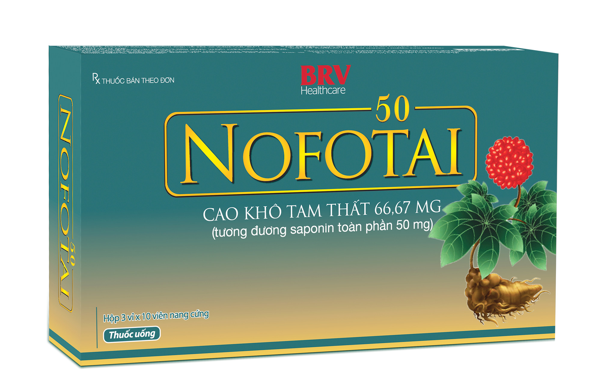 NOFOTAI 100 (H/30 VIÊN)