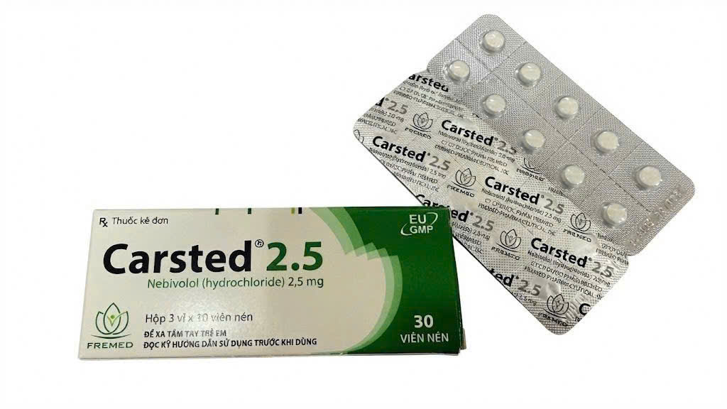 Carsted 2.5 